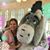 Mira Kossow's profile image