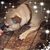 Missy Blankenship's profile image