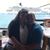 Jennifer Morton Tippitt's profile image