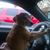 Dean Saulsbury's profile image