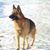 Kathleen Georgevich's profile image