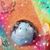 Lisa La Rosa's profile image