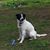 Dixie Davis's profile image