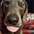 Sandy Moody's profile image
