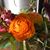 Kelly Brookbank's profile image