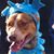 Kristin Jucker's profile image