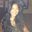 Jennifer Chui's profile image