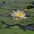 Brenda Wilson's profile image