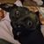 Wendy Hennessy's profile image
