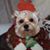 Claudia Mieras's profile image