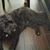 Margie Garganis's profile image