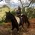 Tanja Miller's profile image