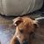 Marilyn Dunn's profile image