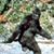 Dan Davis's profile image