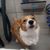 Sue Reuskens's profile image