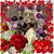 Latonya Croker's profile image