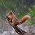 Cynthia Marsack-Seabert's profile image