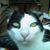 Maria Reyes's profile image