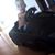 Trent Beckstrom's profile image