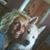 Linda M. Newhouse's profile image