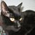 Jill Varricchio's profile image
