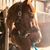 Cyndi Sundquist Ryan's profile image