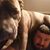 Will Sampson's profile image