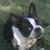 Terri DeShane's profile image