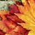 Barbara Efinger Walling's profile image