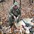 Shane Mahler's profile image