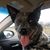 Steven Wayne Dingman's profile image