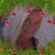 Etta Pearman's profile image