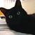 Pam Auman's profile image