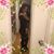 Aura Rodriguez's profile image
