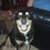 Amy Sue Peterson's profile image