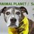 Sandra Lentz's profile image