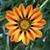 Samantha Childers Martinez's profile image