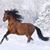 Michele Lauber's profile image