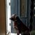 Robin Meikrantz Renner's profile image
