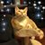 Ginnia Crespi's profile image