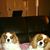 Janice Windham's profile image