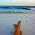 Marla Crum's profile image