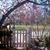 Susan Harris's profile image