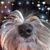 Lynn Parks's profile image