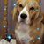 Colleen Tinlin's profile image