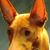 Julie Gwin's profile image