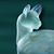 Raquel Stolarski Rosenthal's profile image