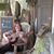 Leilani Labat Crane's profile image