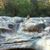 Doris D. Day Pickel's profile image