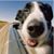 Janet Kornowski's profile image